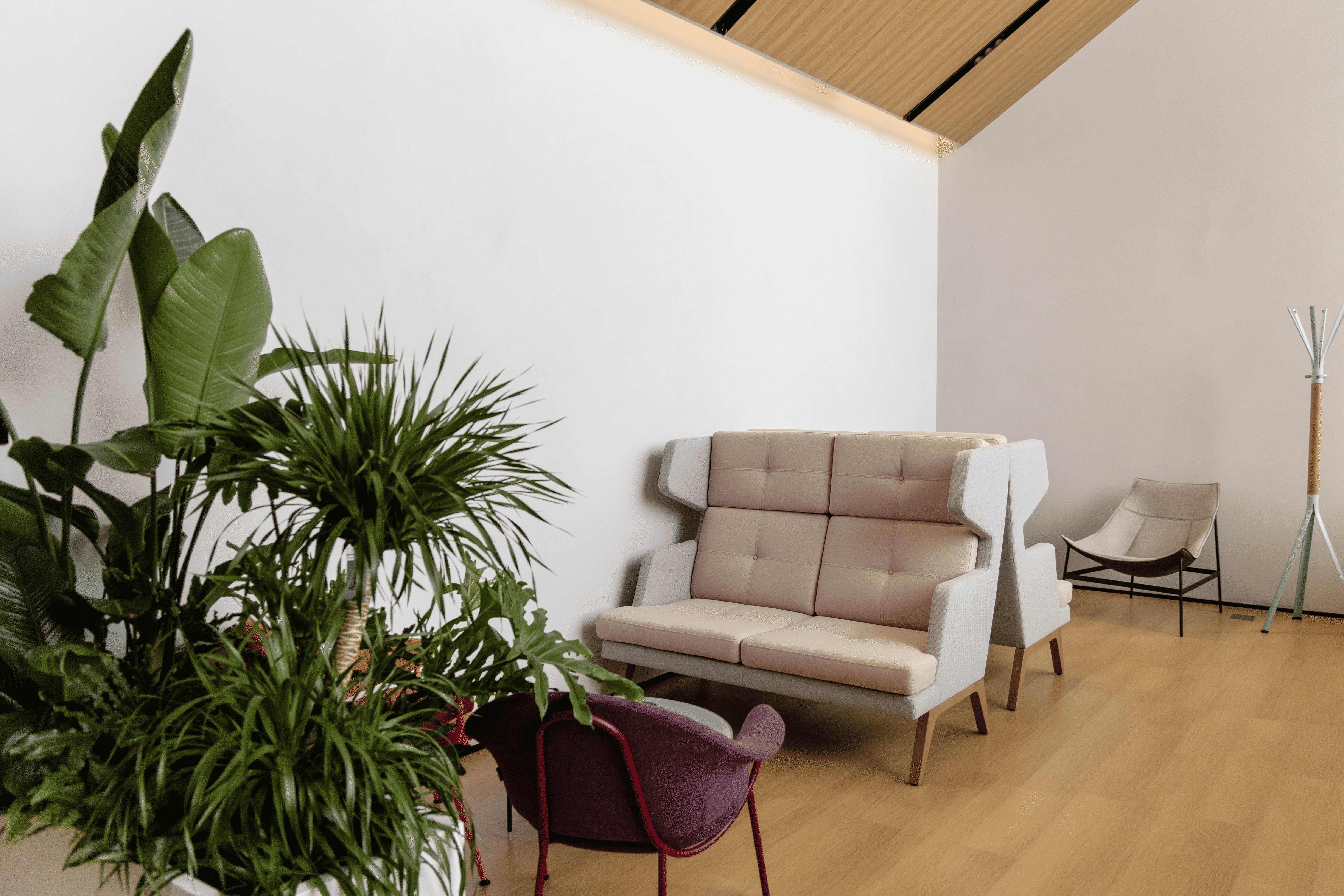 Unleash the vitality of office space with the concept of 