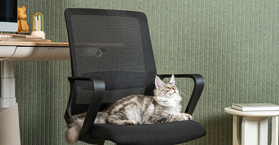 Creating a Pet-Friendly Workplace: Where Comfort, Creativity and Companionship Thrive