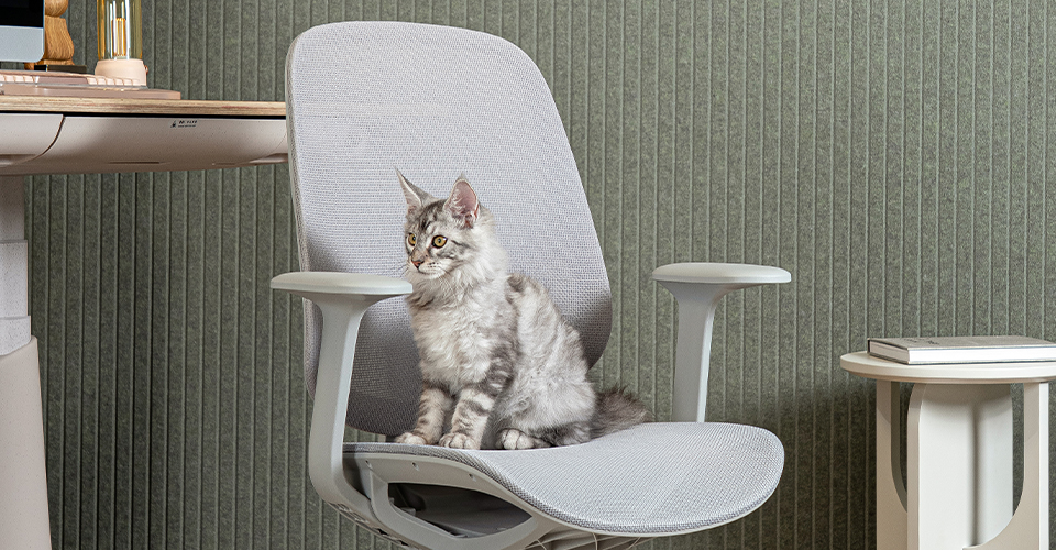 Creating a Pet-Friendly Workplace: Where Comfort, Creativity and Companionship Thrive