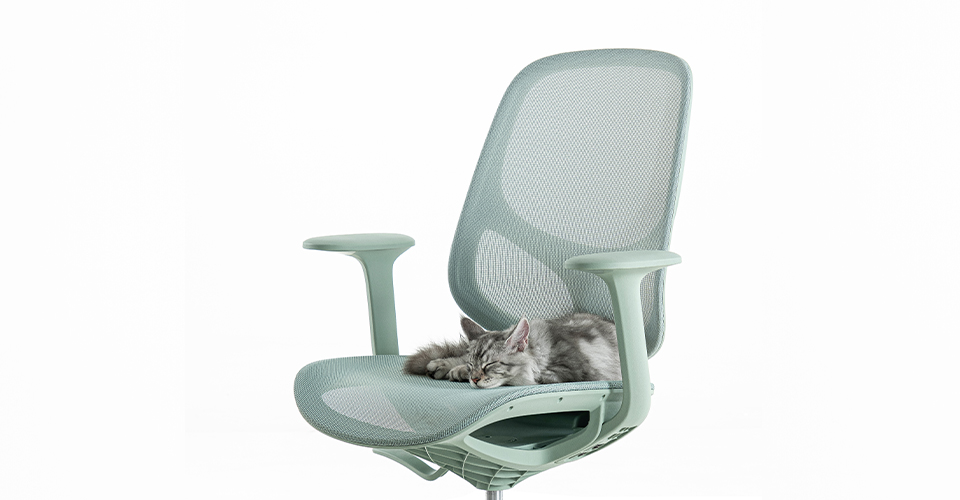 Creating a Pet-Friendly Workplace: Where Comfort, Creativity and Companionship Thrive