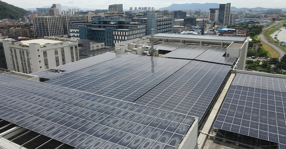 Inside JE Furniture’s Low-Carbon Campus: A One-Day Green Journey