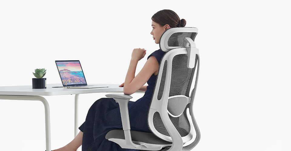 2026 Office Color Trends | How Soft Tones Are Reshaping Modern Workspaces