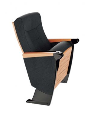 Cheap and Versatile Auditorium Chairs