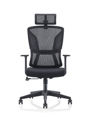 A Double Back Design Chair, Best Choice for Office Spaces!