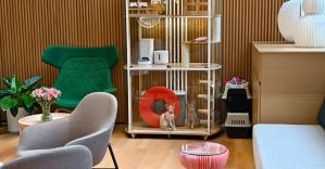 Work Meows Well-being: JE Redefines the Pet-Friendly Workplace